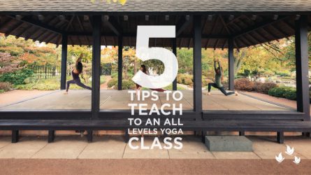 5 Things to Help You Teach to an All-Levels Yoga Class