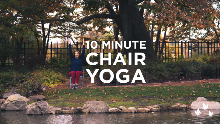 A Ten Minute Chair Yoga Sequence for Beginners